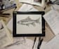 make you fish scientific illustrations