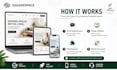 design and develop squarespace website