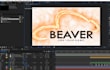 create, edit a template, animation for you