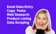 do data entry, copy paste, typing and excel data entry work