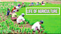 provide production technologies of agricultural farm crops