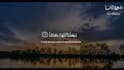 create beautiful quran recitation video with translation
