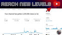 review your youtube channel and help you grow organically