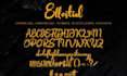 send you 329  premium fonts pack  new