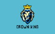 design a professional modern mascot logo