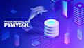 develop your python console applications and assignments