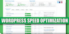 do wordpress speed optimization, speed up wordpress website on google page speed