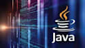complex java,javafx,java swing projects that contain database connection and gui