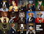 create custom royal pet portrait renaissance high quality