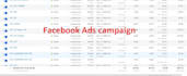 setup your instagram and facebook professional  ads campaign