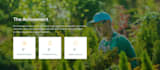 design and develop a lawn care and landscaping service website