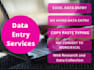 do fastest data entry in one day, internet research