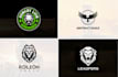 2 lion logo, dog, tiger, wolf, birds, horse, and all animal design