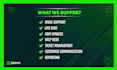 provide dedicated customer support via email, live chat and CRM