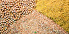 formulate feed for any animal