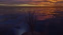 abstract 3d sunrises animation