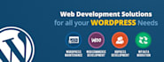 install wordpres and also modify or change your wordpress blog or site