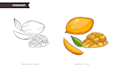 hand draw a vector sketch of anything you need
