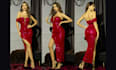 design prom bodycon dress and gown