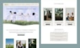 develop a responsive wordpress website design