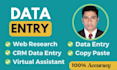 do data entry, copy paste, excel data entry and web research