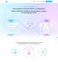 do amazing webflow website design and development