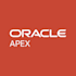 develop or convert erp to oracle apex