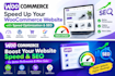 speed up your woocommerce website with speed optimize SEO