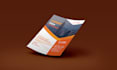 design professional flyer within 24 hours
