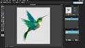do photoediting and will remove backgroud on your demand
