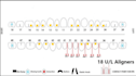 do dental clear aligner treatment planning on onyxceph