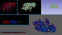 do 3d model from mri, xray, ct scan and electron microscope images