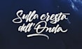 create dynamic brush calligraphy