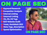 complete monthly on page seo service, on page expert