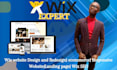 design wix website or redesign wix online store wix SEO