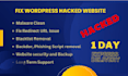 recover hacked wordpress website, remove malware, update security