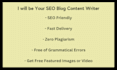 be your SEO blog content writer