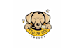 local year old beekeeper seeks honey label logo
