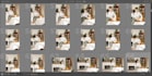 cull, edit, batch process wedding and event photos, pure color