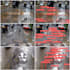 do image processing and computer vision projects