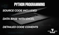 automate your data entry with a custom python program for excel