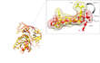 do molecular docking and protein structure prediction