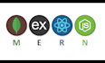 develop your custom web application using mern stack
