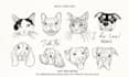 create a custom pet portrait in fine line art, jpg png svg