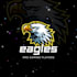 pro logo design 24 hrs