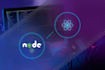 develop custom web applications using react and node js