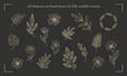 create bespoke botanical art and minimalist graphics for websites