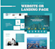 design premium website or landing page