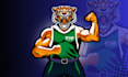 create a lion, tiger, wolf, bear, husky, and cat mascot logo
