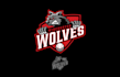 wonderful wolves baseball team logo
